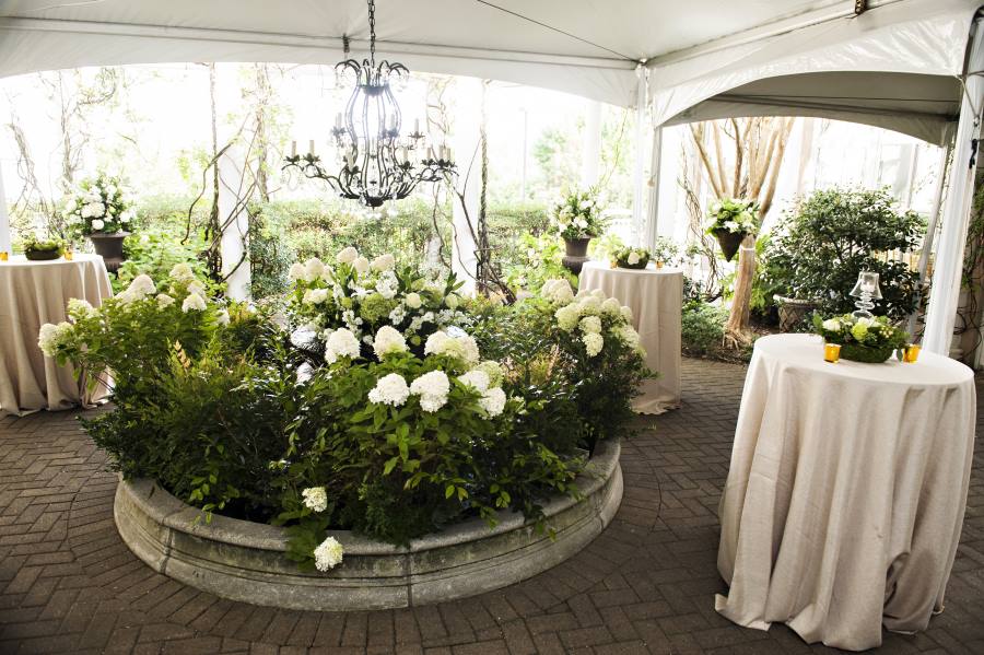Cocktail Reception in Cloister Garden Cocktail Reception in Cloister Garden