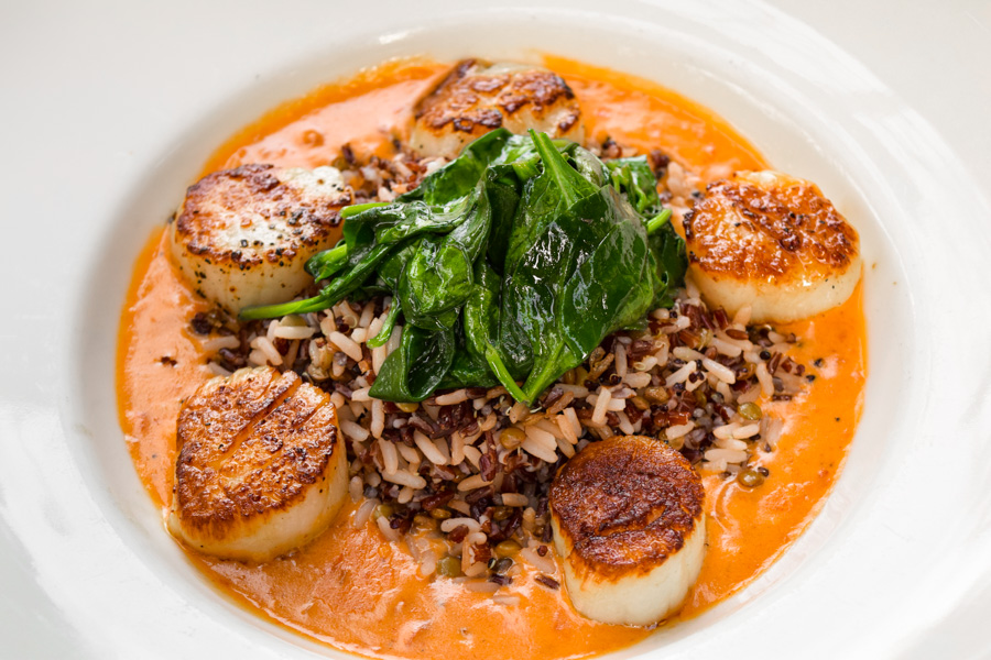Pan Seared Scallops_dontuse Pan Seared Sea Scallops
